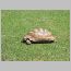 za0139.html